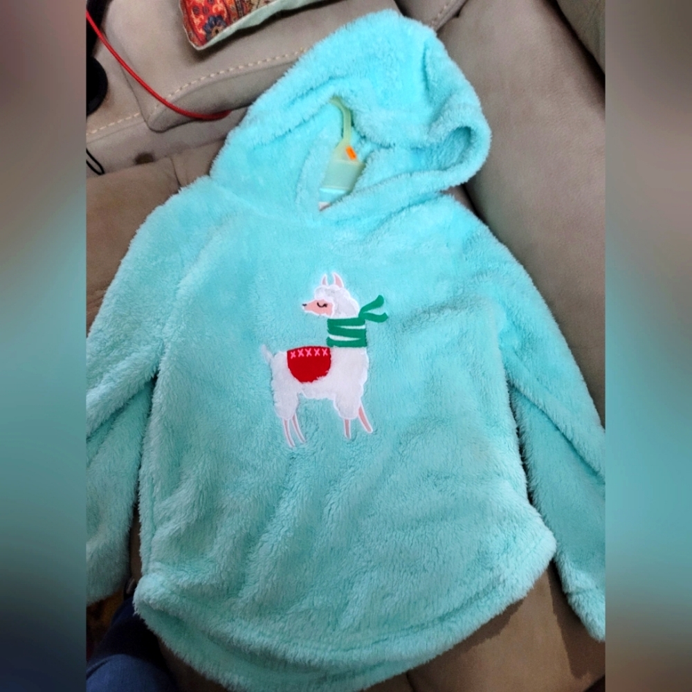 Cute Llama hoodie